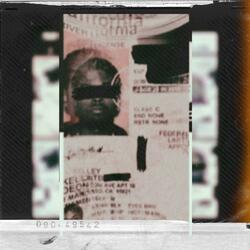 Backseat of the Caddy