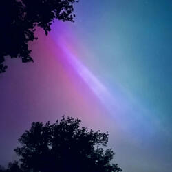 Flowing With You (feat. Alex Jelen)
