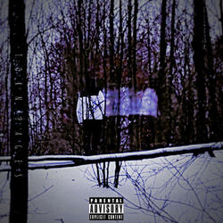 Never Was Freestyle (feat. MAITLAND)