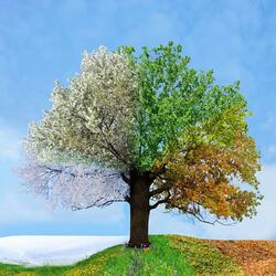 A Change of Seasons