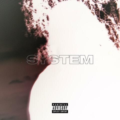 System