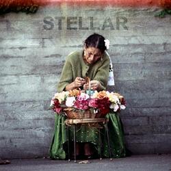 Stellar