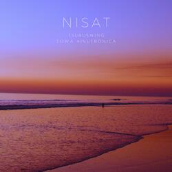 Nisat (feat. Towa Ainutronica)