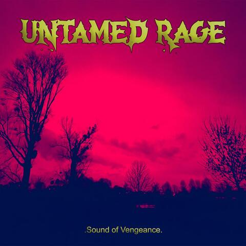 Sound of Vengeance