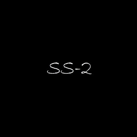 Sample Saturday (vol. 2)