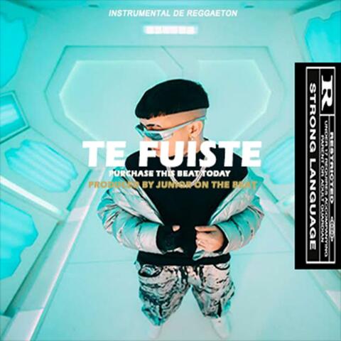 TE FUISTE
