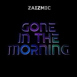 Gone In The Morning