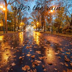 after the rain