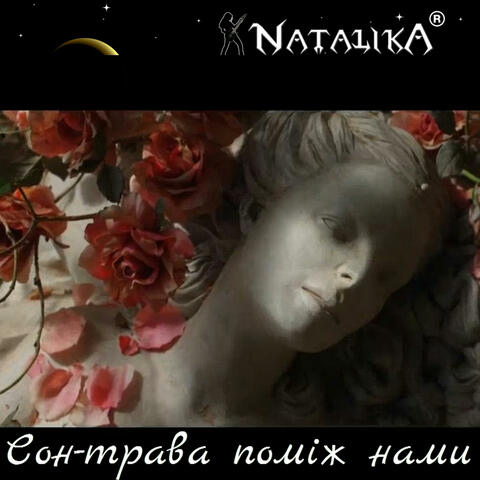 Сон-трава поміж нами - Dream-grass between us