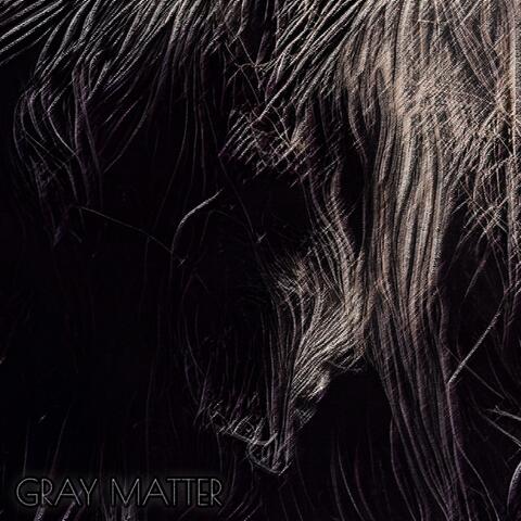 Gray Matter