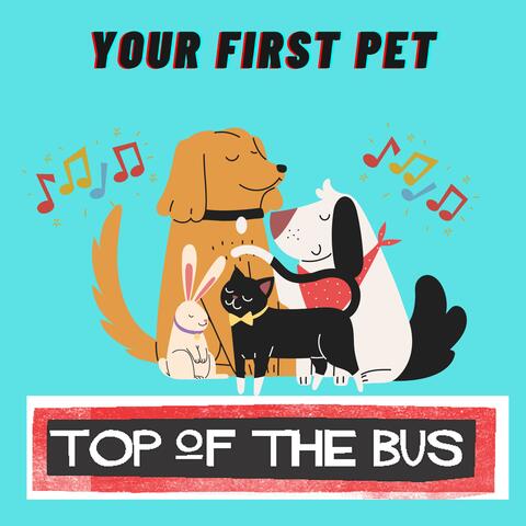 Top of the Bus