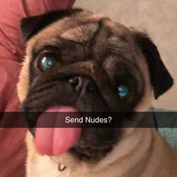 Send Nudes?