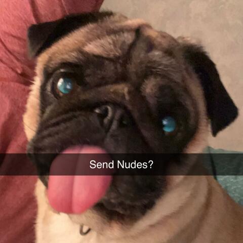 Send Nudes?