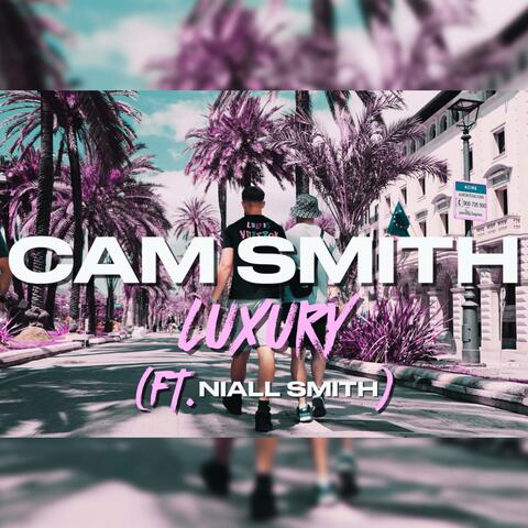 Luxury (feat. Niall Smith) [Tadhg E Remix]