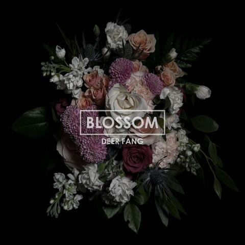 Blossom