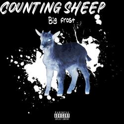 Counting sheep