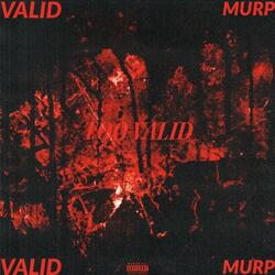 TOO VALID (feat. Mr. Murp)