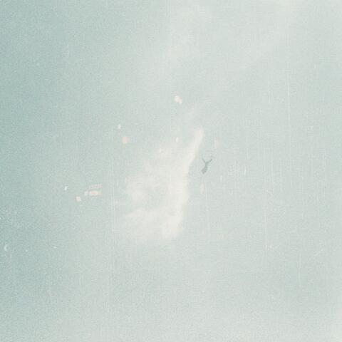 Bluebird