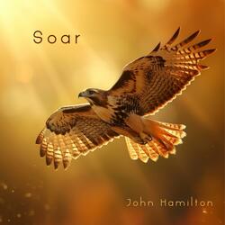 Soar