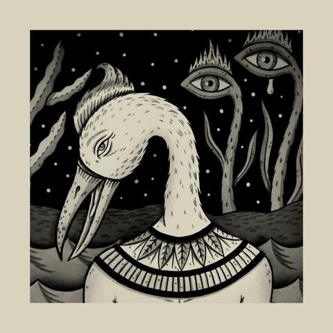 The Girl Who Thought She Was A Bird