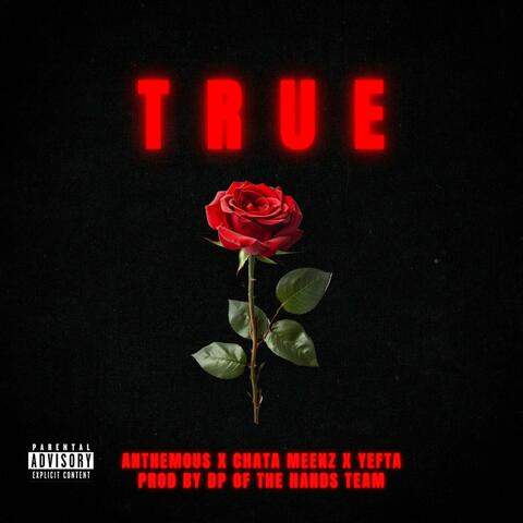TRUE (feat. Anthemous & CHATA MEENZ)