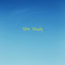 Slim Shady