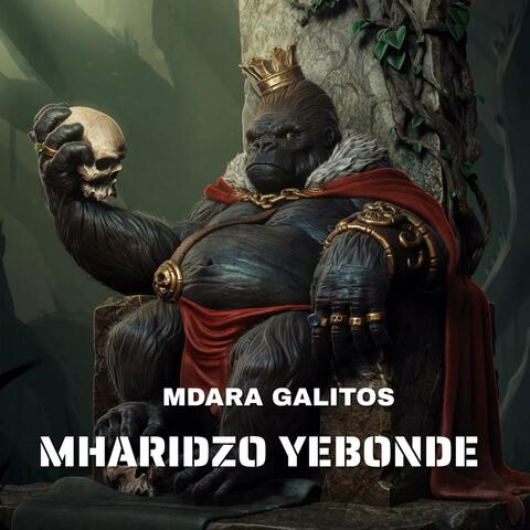 Mharidzo Yebonde