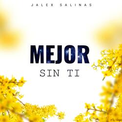 Mejor Sin Ti