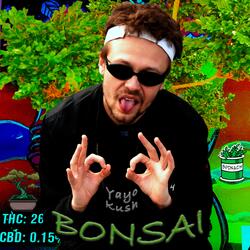 Bonsai