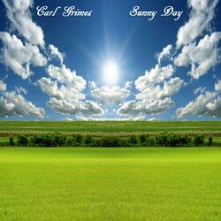 Sunny Day