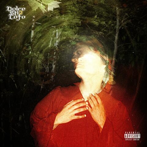 Dolce Sti2 Lofo Mixtape