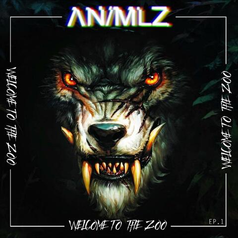 Welcome to the Zoo