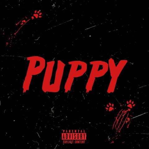 Puppy
