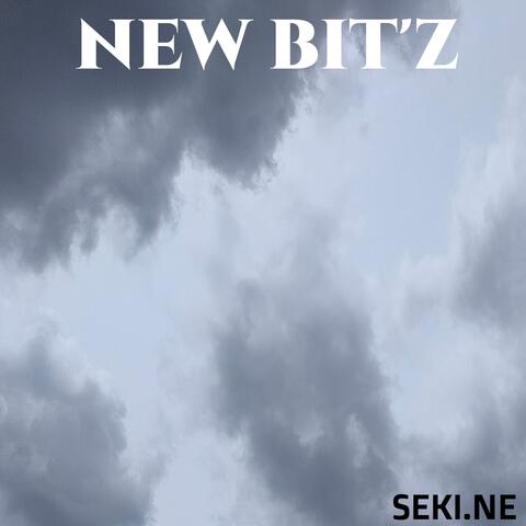 NEW BIT'Z