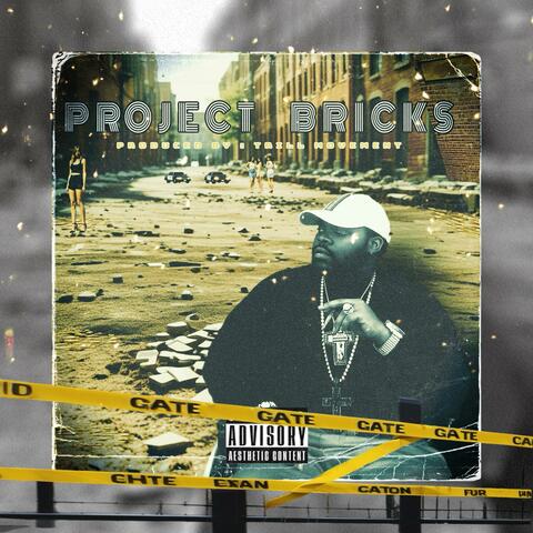 Project Bricks