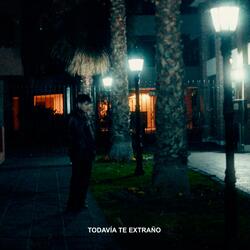 Todavía te extraño