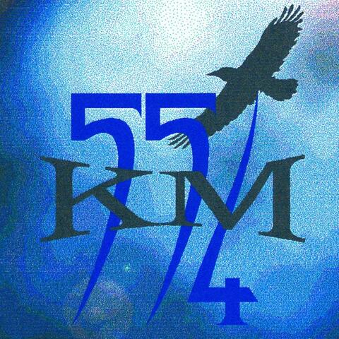 Plictisit de zbor în gol