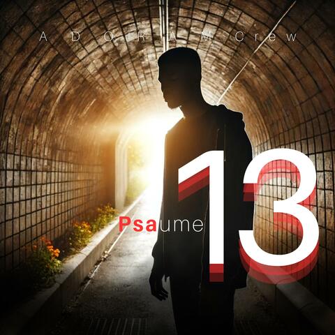 Psaume 13