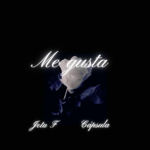 Me gusta  (feat. Cápsula el rebelde) [En vivo]