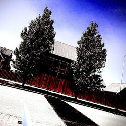 fuckwmyselfsohard idpreferifuhatedme