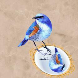 Mr. Blue Bird