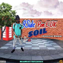 9 Side pon e uk soil
