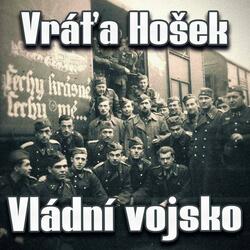 Vládní vojsko