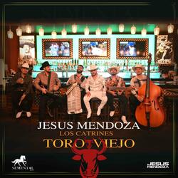 Toro Viejo