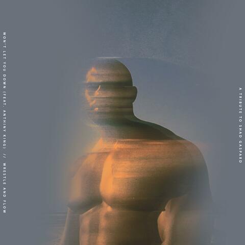 Won't Let You Down (Shad Gaspard Tribute) (feat. Anthiny King)
