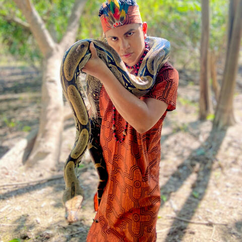 LA BOA
