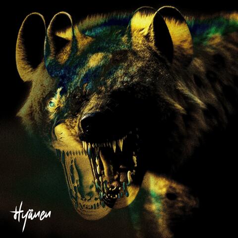 Hyänen