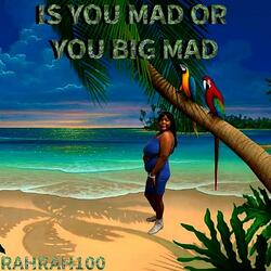 IS YOU MAD OR YOU BIG MAD