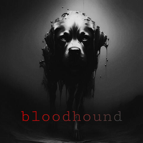 bloodhound