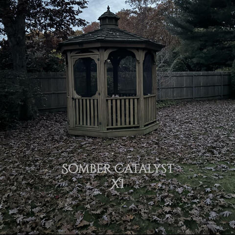 Somber Catalyst XI